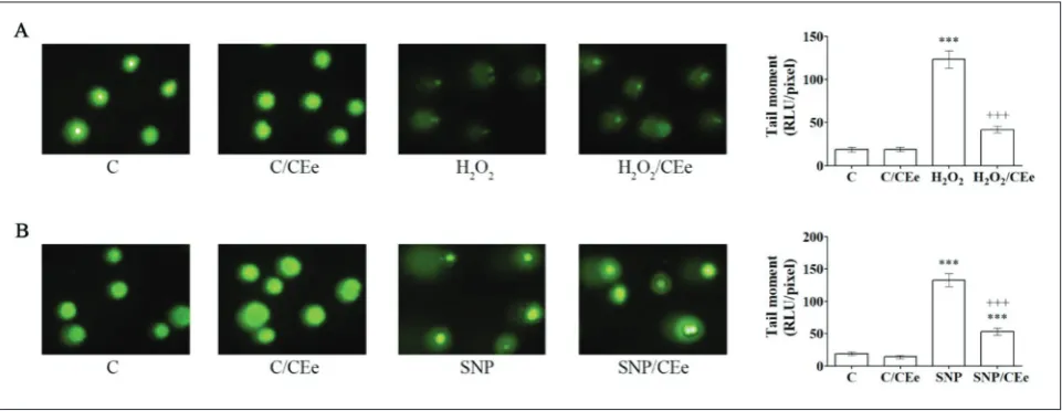 Fig. 2. CEe-mediated protection of DNA in Hcontrol cells (C); 2O2- and SNP-treated Rin-5F cells