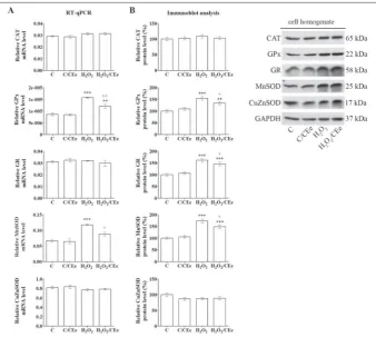Fig. 3. The CEe modulates the expression of the antioxidant enzymes in H2O2-treated Rin-5F cells