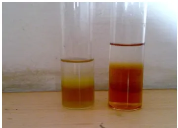 Fig 2: Addition of chilled ethanol                                              Fig 2: Precipitation of DNA 