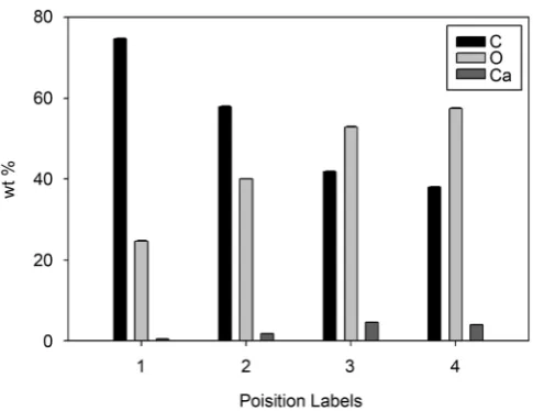 Figure 4. Bar chart representation of the concentrations in wt% of C, O, and Ca in the EDX scanned positions 1-4 in the coral cross section BSE image (Figure 2)