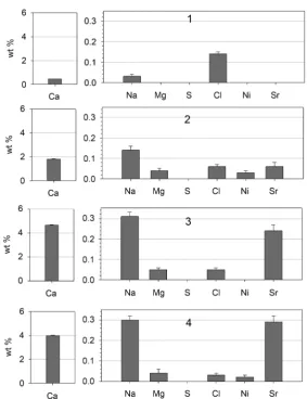 Figure 5. bar chart representation of the concentrations in wt% of Ca, and trace elements in the EDX scanned positions 1-4 in the coral cross section BSE image (Figure 2)