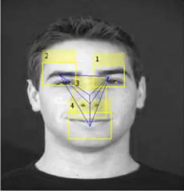 Fig. 3: Facial feature extraction 
