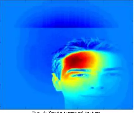 Fig. 4: Spatio temporal feature 