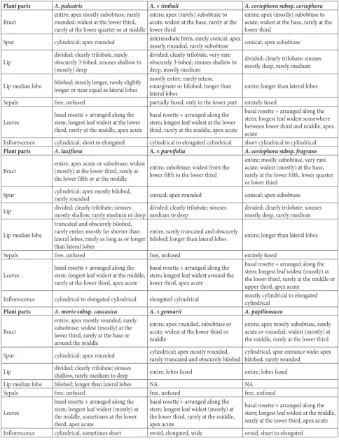 Table 5. Synopsis of 15 analyzed qualitative characters grouped into seven plant parts for all studied Anacamptis taxa.