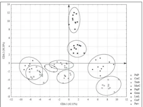 Fig. 3. Scatter plot of the first two canonical axes obtained by the parvifoliadiscriminant analysis applied to 25 morphometric characters from all analyzed taxa (MorC – A
