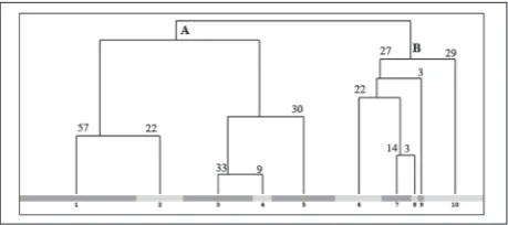 Fig. 1. Dendrogram of the hierarchical classification. A – associa-tion Alysso gmelini-Festucetum vaginatae Stjepanović-Veseličić 1956; B – association Festucetum vaginatae (Rapaics ex Soó 1929) Borhidi 1996)