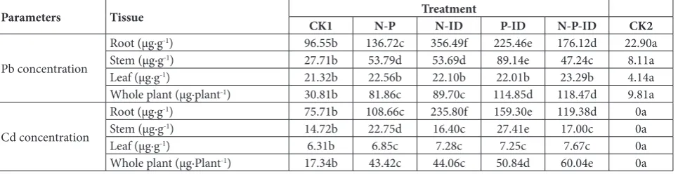 Table 4. N and P concentrations of Jatropha curcas growing under different treatments after 30 days of growth (Cd50-Pb500 stress).