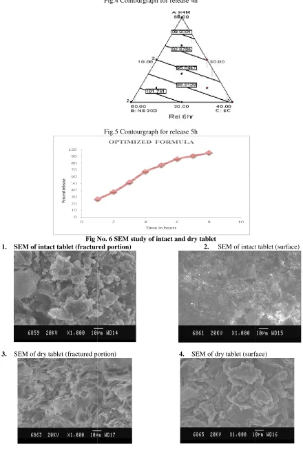 Fig.4 Contourgraph for release 4h 