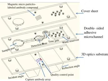 Figure 1. The schematic illustration and assembly of 3D optical TIRI chip. 
