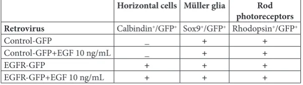 Table 1. Schematic presentation of the differentiation potential of retinal progeni-tors in 7-DIV REs in different experimental paradigms