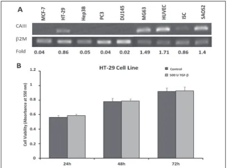 Fig. 1. CAIII is expression in different cancer cell lines and the cell proliferative effect of TGF-β in HT-29 cells