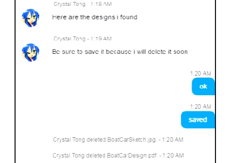 Figure 2: A screenshot of the chat between the project manager (Crystaal Tng) and the employee (the blue speech bubbles)