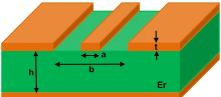 Figure 1. Geometrical characteristics of a coplanar waveguide. 