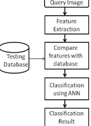 Fig. 2 shows the flowchart for disease classification. The Query image is resized and decomposed into R, G and B channel