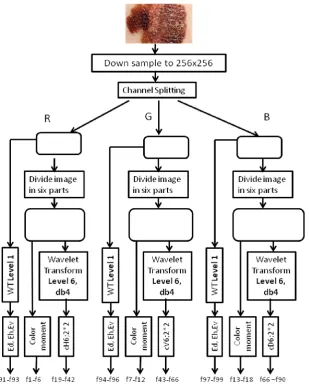 Fig.7: Vitiligo fr database 