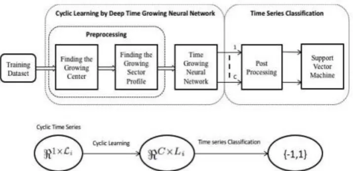 Figure 2. Two cycles of a biological time series. The information is extracted from the growing sectors using all the three schema: forward, backward, and bilateral growing scheme