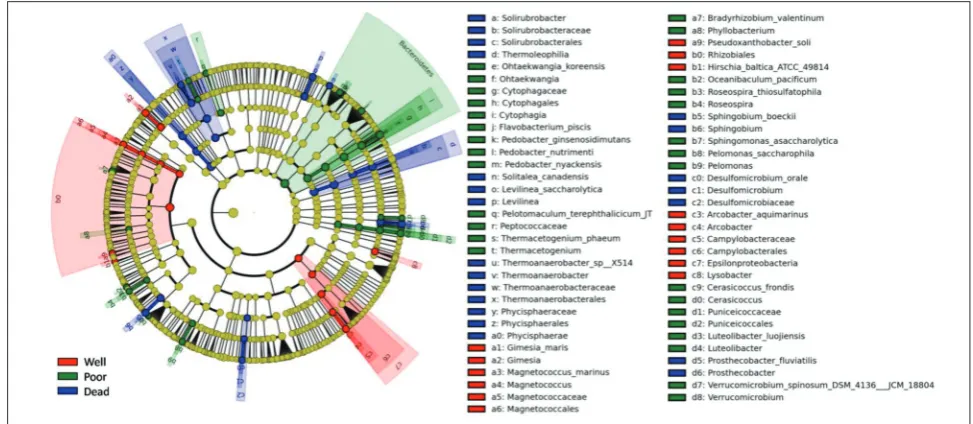 Fig. 3. LEfSe comparison of bacterial taxa from the rhizosphere of three groups. The node size corresponds to the average relative abundance of the taxon