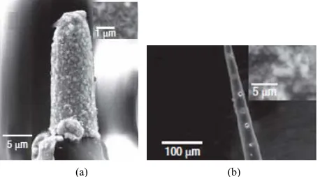 Figure 2. Characteristics of CNT-coated MEAs: (a) An im- 