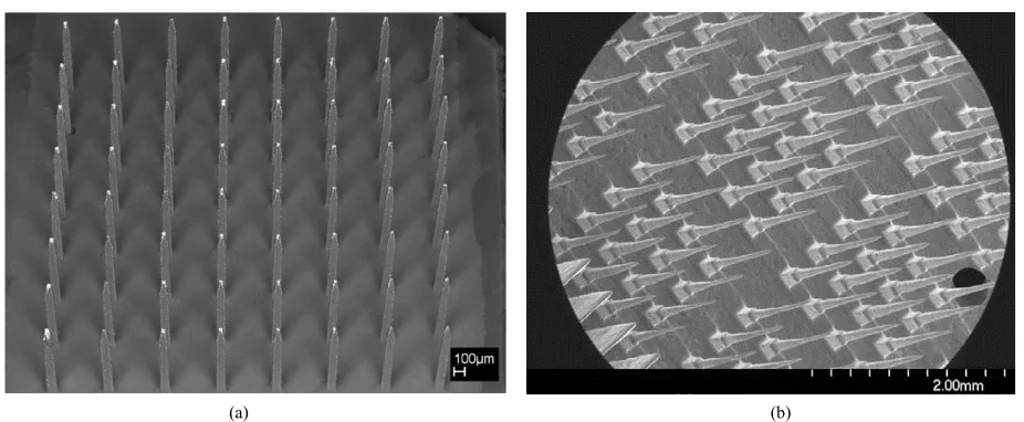 Figure 10. Metallic-based microelectrode arrays using an EDM technique: (a) SEM image of a parylene-coated assembly, 