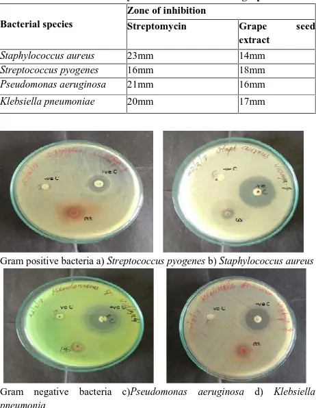 Fig 1: Antibacterial activity of methanolic extract of grape seedsGS - Methanolic extract of grape seed+ve C - Streptomycin (standard)-ve C - Methanol (control)