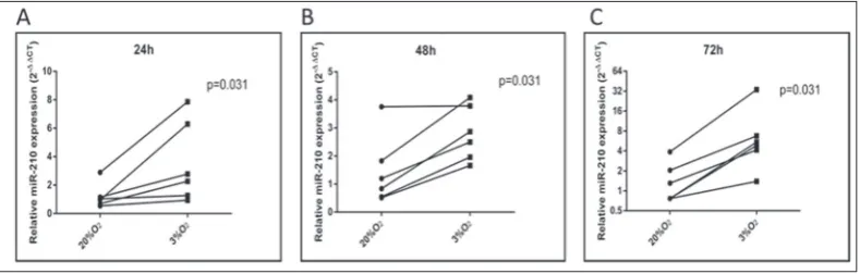 Fig. 1. Expression level of miRNA-210 under ex vivo oxygen deprivation conditions in MStroC derived from 6 adult human healthy bone-marrow samples