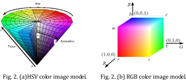 Fig. 1. Image with larger interference. 