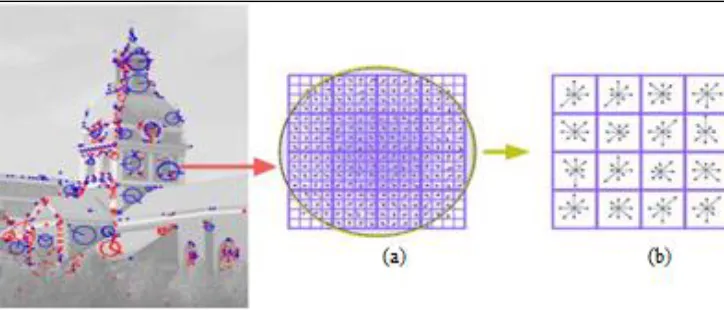 Fig. 3: (a) Image gradient (b) Key point descriptor 