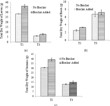 Figure 3. The dry weight of (a) leaves, (b) roots, and (c) biomass of Eleusine indica (T1), and Rorippa sylvestris (T3) due to the application of biochar