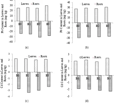 Figure 5. Effects of biochar types on Pb content in leaves and roots of (a) Eleusine indica and (b) Rorippa sylvestris; and Cd content in leaves and roots of (c) Eleusine indica and (d) Rorippa sylvestris