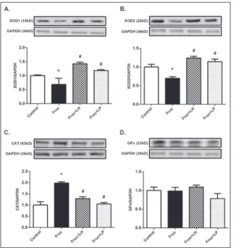 Fig. 2. Changes in protein expression of the antioxidant enzymes in kidney tissues of Control, Fruc, Fruc+LH, and Fruc+LP groups