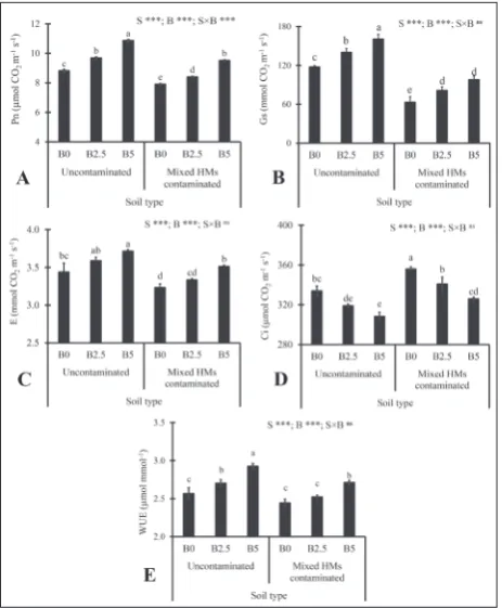 Fig. 4. Mean and standard deviation of EL (A), MDA (B), and proline content (C) of white willow seedlings induced by biochar treatment in clean and mixed HM-contaminated soils from three replicates