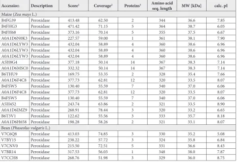 Table 1. List of soluble POX from maize and bean root extracts detected by LC-MS/MS.