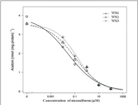 Table 2. GR50 (growth reduction by 50%) ratio of vegetative pa-rameters and ALS activity of three weedy sunflower populations in response to nicosulfuron.