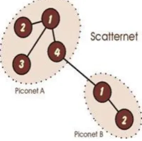Fig.1 Scatternet 