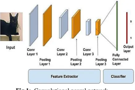 Figure 2: AlexNet Network 