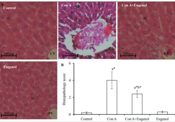 Fig. 4. Mitochondrial ROS in different experimental groups. Values are stated as the mean±SEM (n=6)