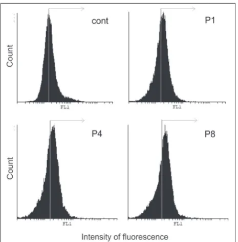 Fig. 3. Medium containing molecules released from recast Ag-Pd alloy triggered senescence and mass cell death