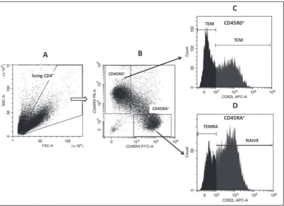 Fig. 2. Determination of the proliferative status of cells by the differential gat-ing method