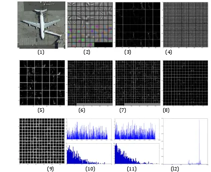 Fig. 1. Intermediate state parameter diagram and classification results: (1) The input image