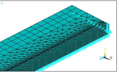Figure 6. Displacement constraints model. 