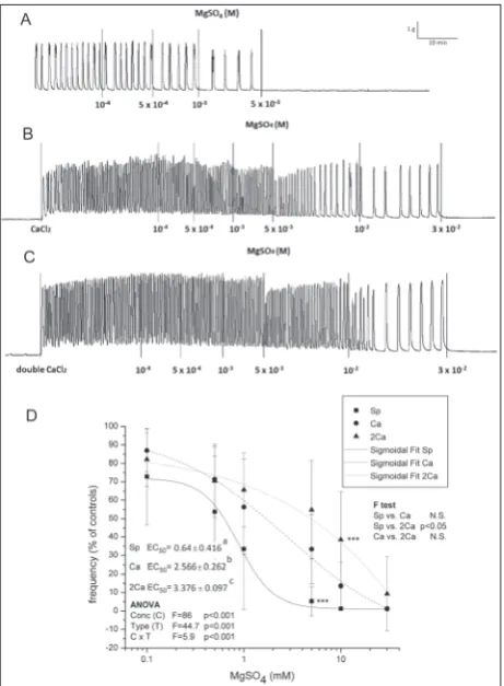 Fig. 1. The effect of MgSO4 on uterine contractile activity under different Ca2+ concentrations