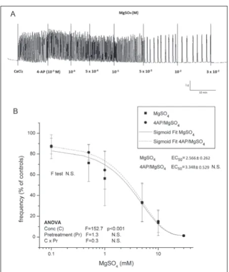 Fig. 3. The effect of MgSO4 on contractile activity of uteri pretreated with glib. Graphs show original traces for: A – Ca2+-stimulated active uteri pretreated with Glib