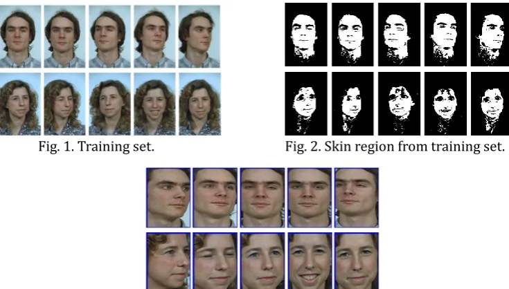Fig. 3. Extracted Face Region using skin color information. 