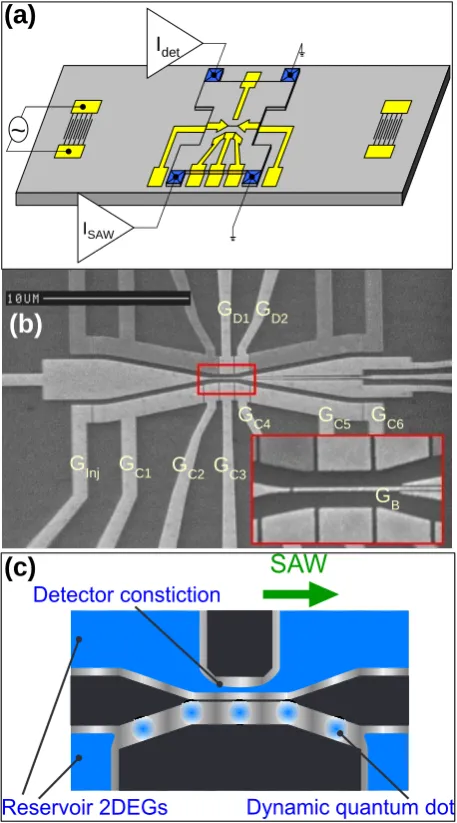 FIG. 1: (colour online). a) Schematic of the device. b) Scan-ning electron microscope image of the device surface gates.The gates are labeled as follows: detector channel gates (GD1and GD2), barrier gate (GB), injector gate (GInj), SAW chan-nel Gates (GC1-