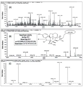 Fig. 2. TLC analysis. Lane A – standard vindoline with an Rf value of 0.35; lane B – ethyl acetate extract having with an Rf value of 0.36; lane C – puri-fied vindoline with an Rf value of 0.37 with the optimized mobile phase containing ethyl acetate:methanol:ammonia (6:0.3:0.1) as a solvent system.