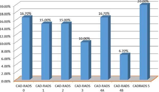 Figure 2: The CADRADS categorization of the studied group 