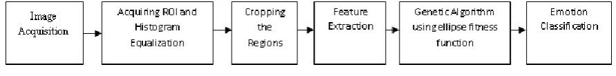 Fig. 5: Process flow using Genetic Algorithm [22] 