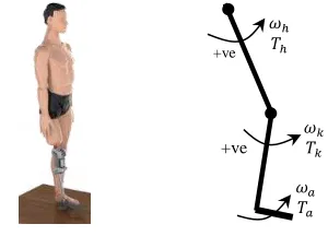 Figure 1.   Skematic for lower limb prosthesis 