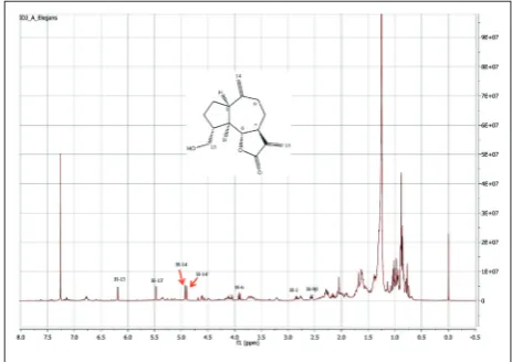 Table 1. Total phenolic and flavonoid contents and antioxidant activity of n-hexane, ethyl acetate and methanol leaf extracts of Am-phoricarpos elegans.