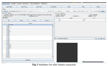 Fig 3 Attributes list after feature extraction 